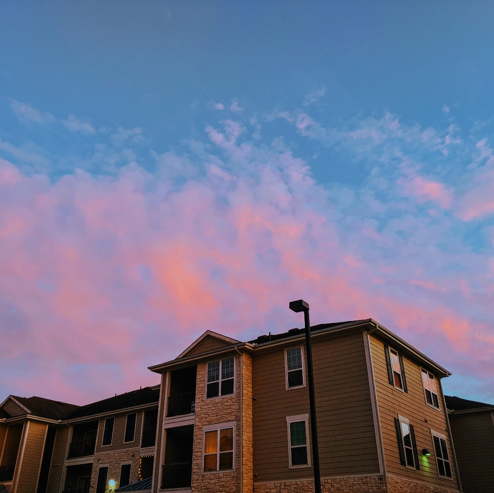 Meet your Posher, Daniella